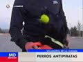 Perros polic�a entrenados para encontrar CD\