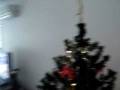 videos de You Love My Christmas Tree.