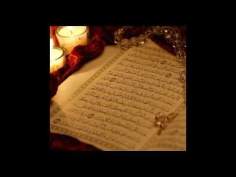 صور نيك حوامل