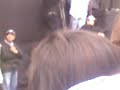 Kinky Marcha atrAs vIvE latino 09