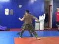 ISR PM (Defensive Tactics)