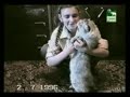 Videos Divertidos de Animal Planet : ESPECIAL DE GATOS