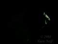 first moon landing one shot 1969 apollo 11