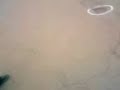 instructor-auto-din-