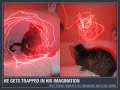 tonto remembers 2 (better) tonto remembers 2 (better)