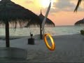 Digghiri Maldive SECONDO TEMPO
