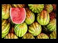 republic-of-macedonia-the-land-of-colours.html