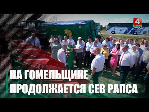 Особенности сева озимого рапса обсуждали на областном семинаре в Калинковичском районе видео