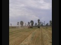 GLENVAR HAY 2008-glenvar Western Australia
