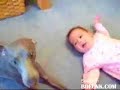 Crying Dog vs Crying Baby