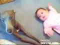 Crying Dog vs Crying Baby