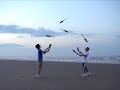 Jeremy Perkins and Jeremy Fein: 