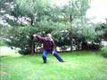 EXERCISES FOR ALL SEASONS: 37 Posture Tai Chi Form