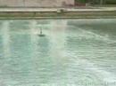 formula 1 hydro plane