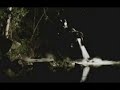 Batman: Joker Kills a Girl