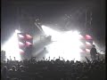 Peace Love & Pitbulls - Radio Live