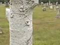 Who was Mary Gustin Havens? Genealogy Series Pt. 1