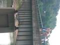 videos de Jumping off poga bridge