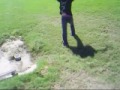Skateboarding Faceplant