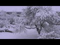 Blizzard Denmark (COP15 Snow Storm December 16th 2009)