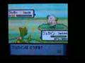 ポケトレで色違いGET!(6)ラッキー