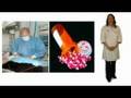 video showing medical treatment of dog pain