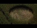 Aliens (Alienigenas)