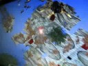 Various texture crashes