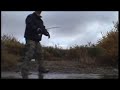 Alaska Big Dolly Varden