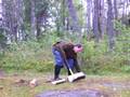 videos de The Tin Woodman