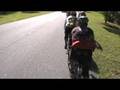KABC-Piggly-Wiggly-R