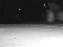 Driveway surfing with Gregorian chant Driveway surfing with Gregorian chant