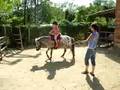Cavalcata su Pony