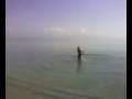 tuffo al poetto il 15 marzo!!!