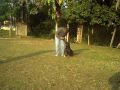 CBD rottweiler fig Marcones uax Rock