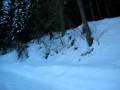 videos de Slittata da San Giovanni (gennaio 2009)