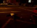 Señores Un Muerto En Vivo En Direkto