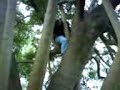 ma so called mates frt it would b funny to film me tryin to gt down a tree!!!!