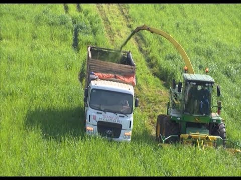 Chiến lược xây dựng thương hiệu cho sản phẩm nông sản địa phương 