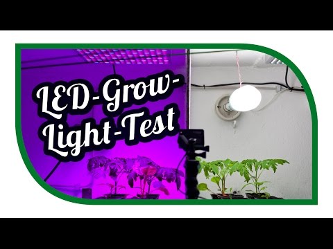 LED Grow Light Test ☀️ Aussaat Jungpflanzenanzucht Zeitraffer ☀️ Pflanzenlicht ☀️ Pflanzenlampen