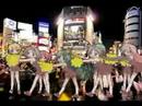 Shibuya Crossing - lucky ☆ star らき☆すた 「もってけ渋谷交差点」