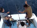 Vanessa sportfishing Z-Gas Mahis Vanessa sportfishing Z-Gas Mahis
