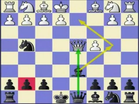 chess chess