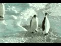Boom! Slapped by the Penguin, Google’s Latest Algorithm Update.