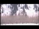 Valdez Heli Camps meets Dongshow Productions, Ski Beer Guns Valdez Heli Camps meets Dongshow Productions, Ski Beer Guns