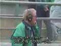 1990 F1 Mexico Aguri crash