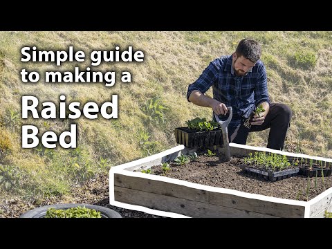 video-linktoworks-How to BUILD, FILL and PLANT a Raised Bed | Grow Your...