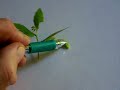 Seed Firing Pod