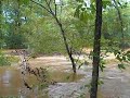 Eno River in Flood