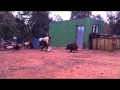 Ver Video